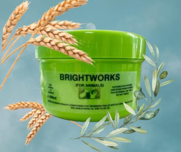 GREEN EXTREME CONDITIONER – Intensivpflege